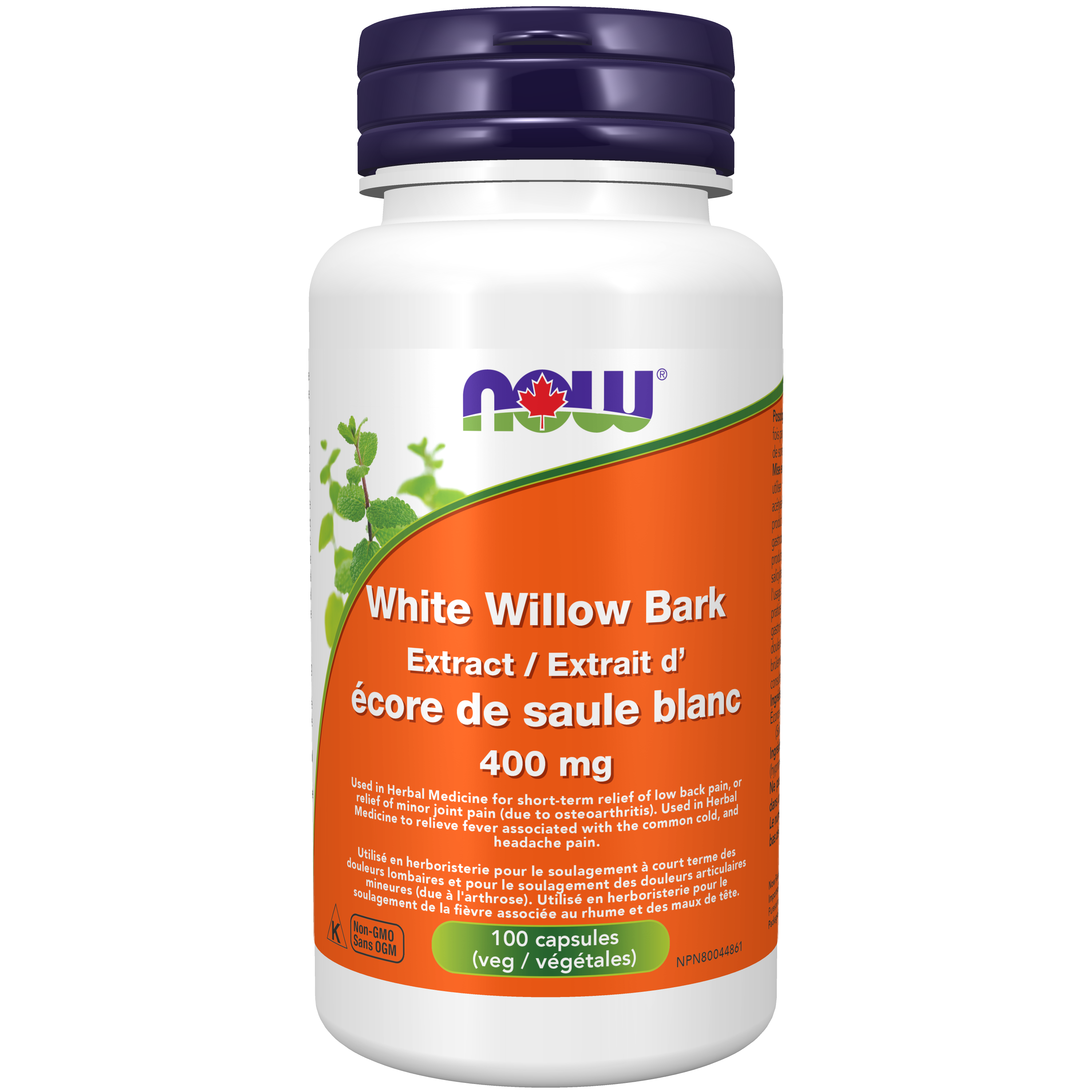 NOW White Willow Quantum Health Whistler