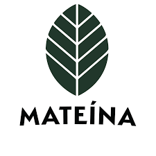 Mateina