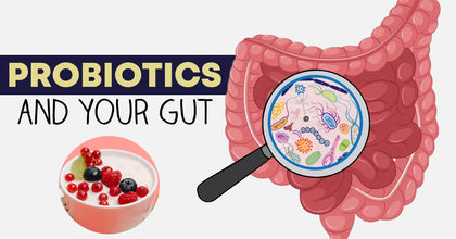 Probiotics and Prebiotics