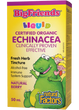Natural Factors Big Friends Echinacea Alcohol-Free Fresh Herb Tincture for Kids