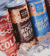Everwell Water Kefir Root Beer 355ml