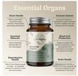 Land Promise Essential Organs -180 Capsules