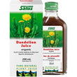 Salus Dandelion