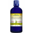 DIVINE ESSENCE DIVINE ESSENCE Eucalyptus Radiata