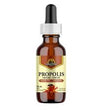 Duchman's Gold Propolis Tincture