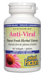 Natural Factors ECHINAMIDE® Anti-Viral Potent Fresh Herbal Extract