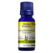 Divine Essence Organic Eucalyptus Radiata Essential Oil