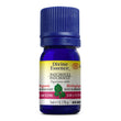 Divine Essence Organic Patchouli Essential Oil