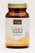 Stay Wyld Lion's Mane Mushroom