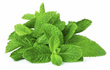 The Apothecary Japanese Peppermint Essential Oil