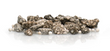 Santevia Gravity Water System Mineral Stones