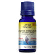 Divine Essence Organic Lavender - Hybrid Grosso Essential Oil