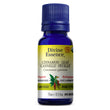 Divine Essence Cinnamon Leaf Organic