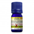 Divine Essence Organic Cinnamon - True Bark Organic