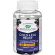 Nature's Way Sambucus Cold and Flu Gummy
